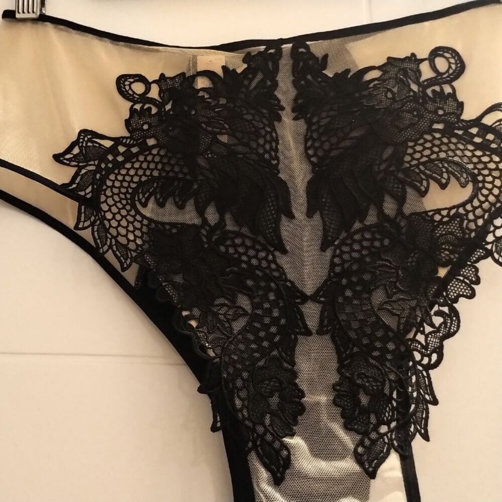 🐞NWT Victoria's Secret LUXE Dragon Applique Cheeky Mesh SEXY Lingerie Black Tan - Picture 5 of 16